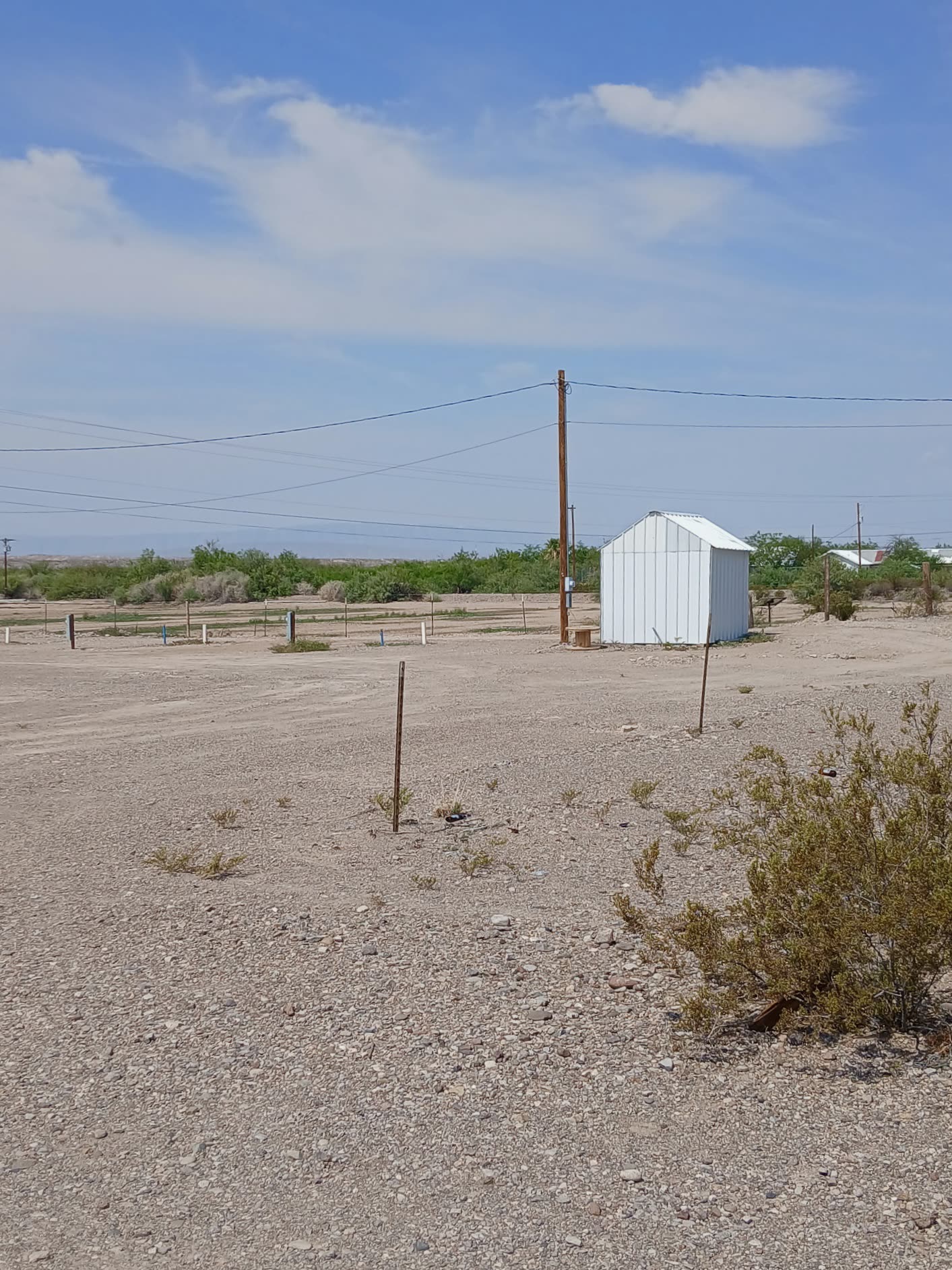 Storage shed and utility pole on the park grounds